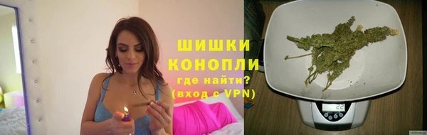 винт Липки