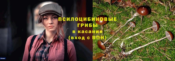 дурь Лиски