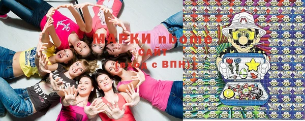 винт Липки