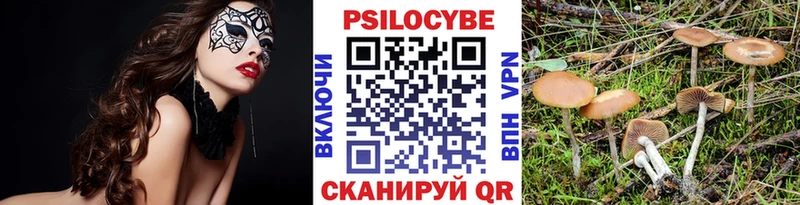 Купить  Нерюнгри  Псилоцибиновые грибы Psilocybine cubensis 